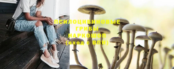 МДПВ Богородск