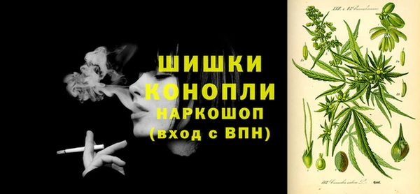 МДПВ Богородск