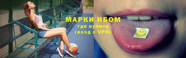 Альфа ПВП Белокуриха
