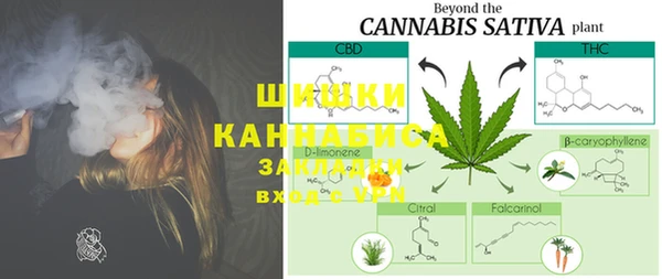 ГАЛЛЮЦИНОГЕННЫЕ ГРИБЫ Богданович
