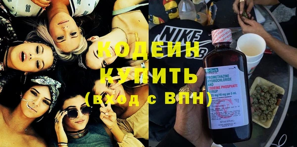 ГАЛЛЮЦИНОГЕННЫЕ ГРИБЫ Богданович
