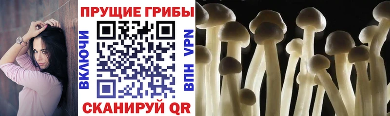 Псилоцибиновые грибы ЛСД  где купить наркоту  Гороховец 